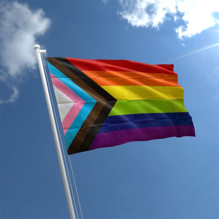 Gay Pride polyester flag progress flag.