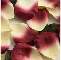 Rose Paper Petals Burgundy and Ivory