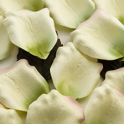 Rose Paper Petals Green and Ivory