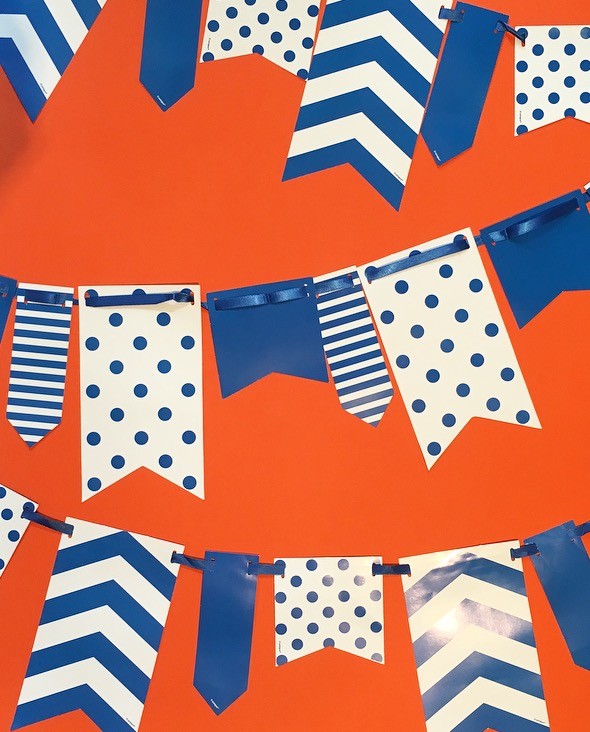 10ft Blue and White Spot and Stripe Reversible Flag Bunting