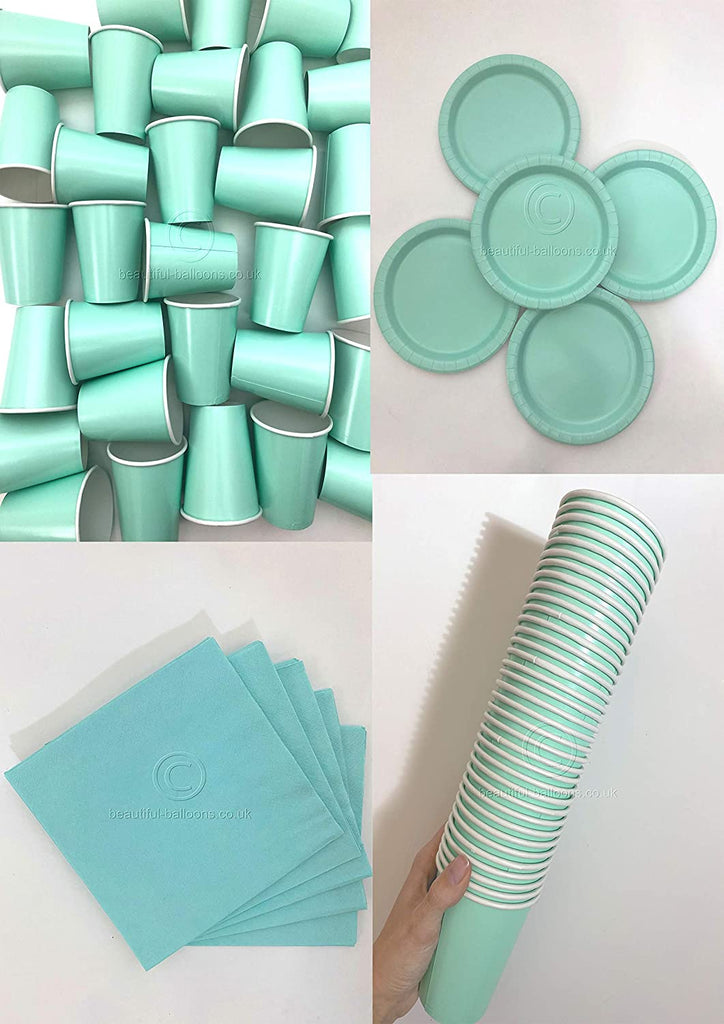 Mint Party Kit - Cups, Napkins and Plates! Complete Kit