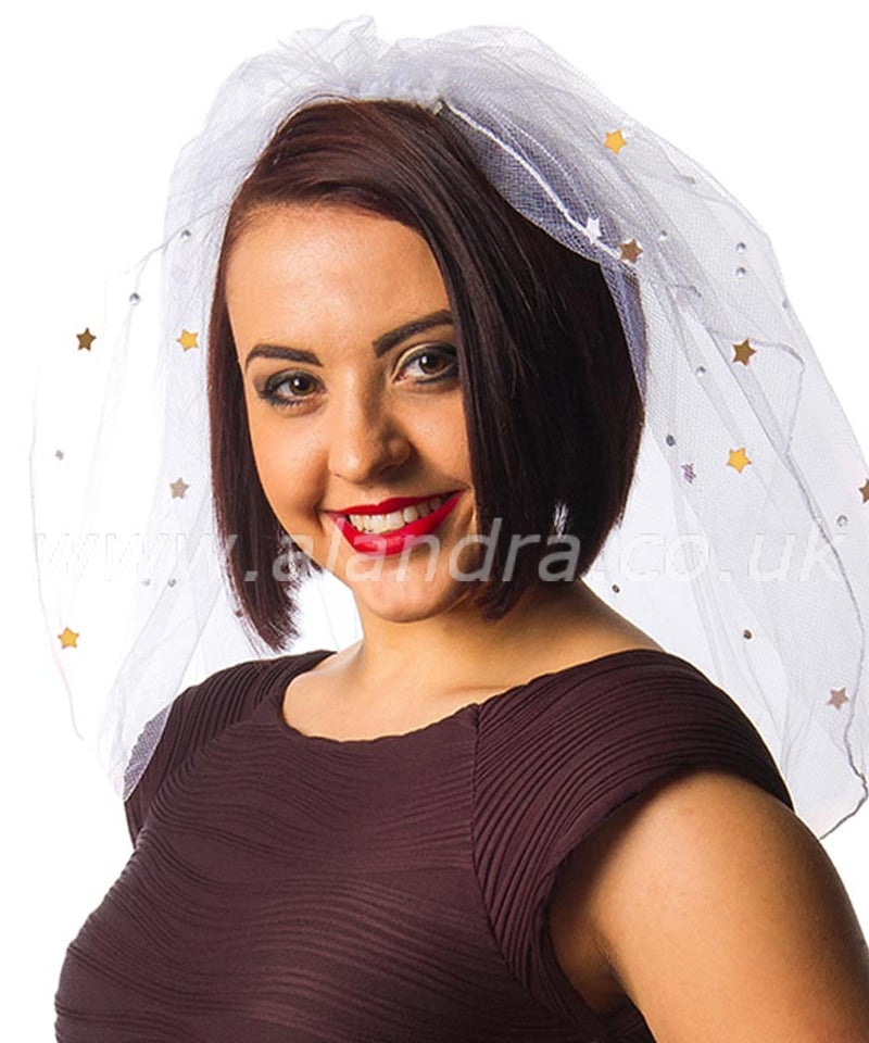 Bride to Be simple Veil
