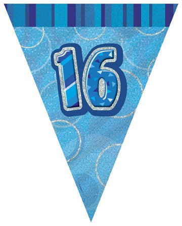 16th Blue Flag Banner