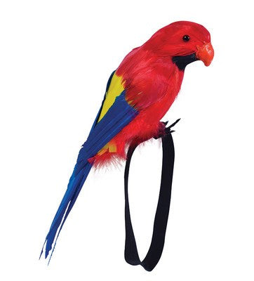 Feather Parrot
