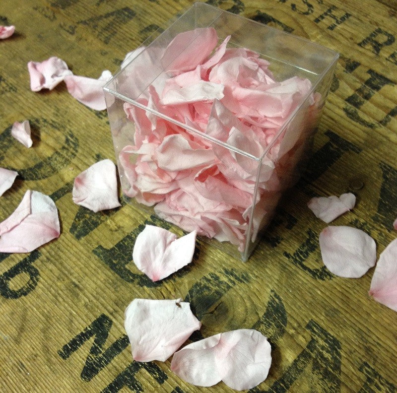 Two Boxes of Pretty Pale Pink Rose Petals