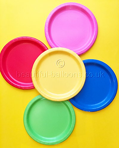 40 x Bright Rainbow Paper Plates - Rainbow Theme Party! Gay Pride!