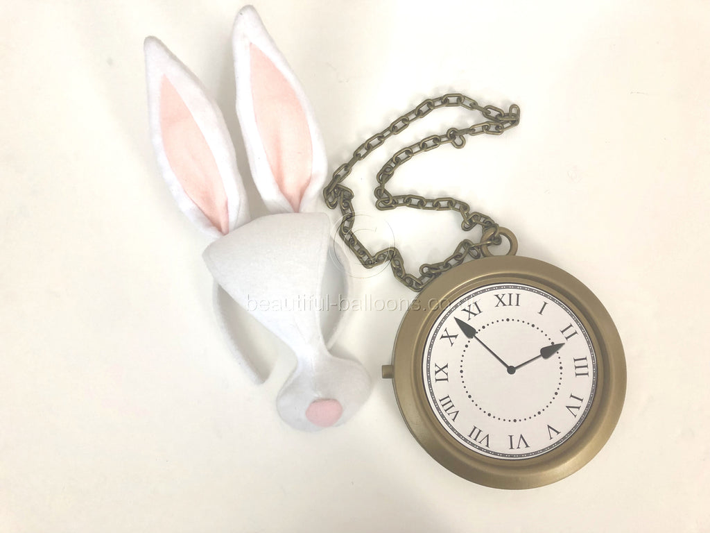 White rabbit and pocket watch - Alice in Wonderland - World Book Week